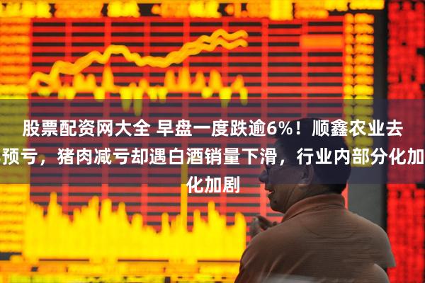 股票配资网大全 早盘一度跌逾6%！顺鑫农业去年预亏，猪肉减亏却遇白酒销量下滑，行业内部分化加剧